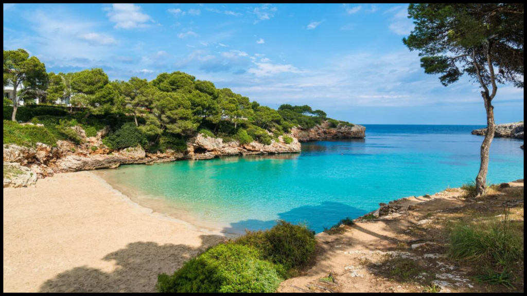 Majorca Tourism Decline